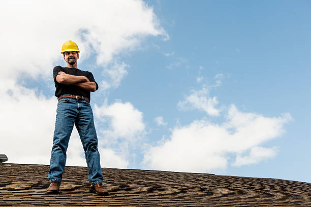Best Metal Roofing Contractor  in Elroy, WI